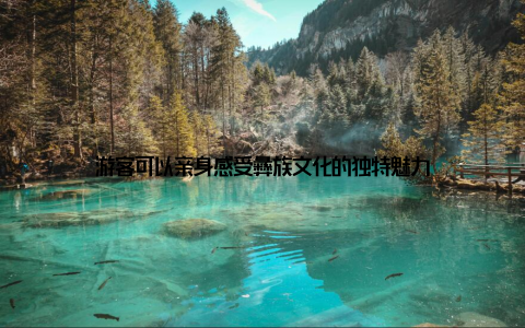 游客可以亲身感受彝族文化的独特魅力