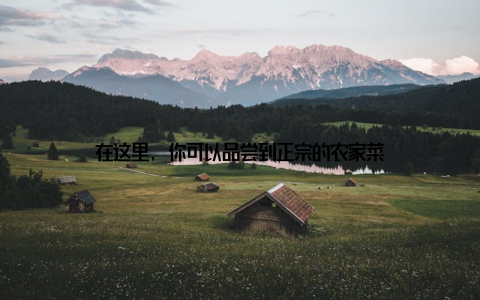在这里, 你可以品尝到正宗的农家菜