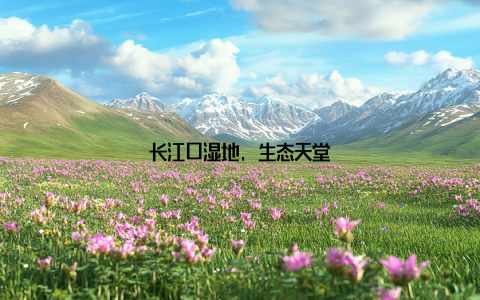 长江口湿地, 生态天堂