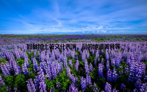如参加土著文化表演、品尝地道美食等