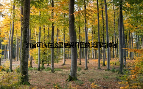游客可以在这里感受丹巴的美丽与神秘