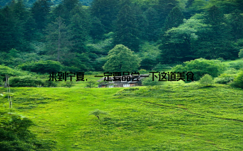 来到宁夏, 一定要品尝一下这道美食
