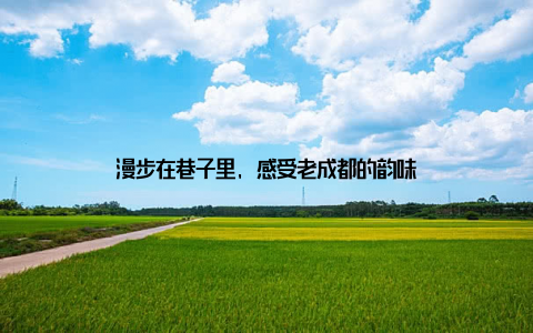 漫步在巷子里, 感受老成都的韵味
