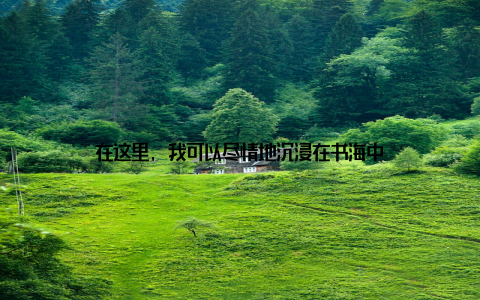 在这里, 我可以尽情地沉浸在书海中