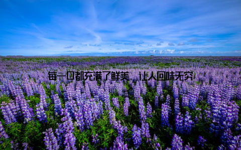 每一口都充满了鲜美, 让人回味无穷