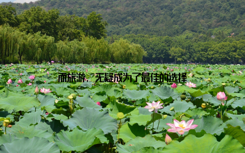 而旅游, 无疑成为了最佳的选择