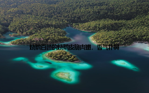 烧鹅百色的烧鹅皮脆肉嫩, 香气扑鼻