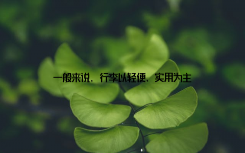 一般来说, 行李以轻便、实用为主