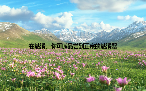 在慈溪, 你可以品尝到正宗的慈溪蟹