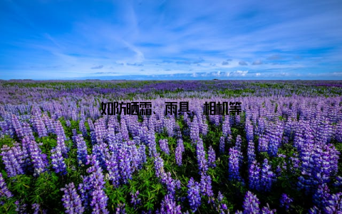 如防晒霜、雨具、相机等